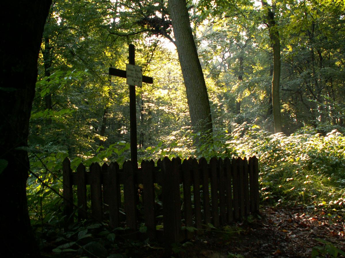 Wikipedia, Self-published work, User:Zetpe0202, World War I Cemetery nr 383 in Wróblowice