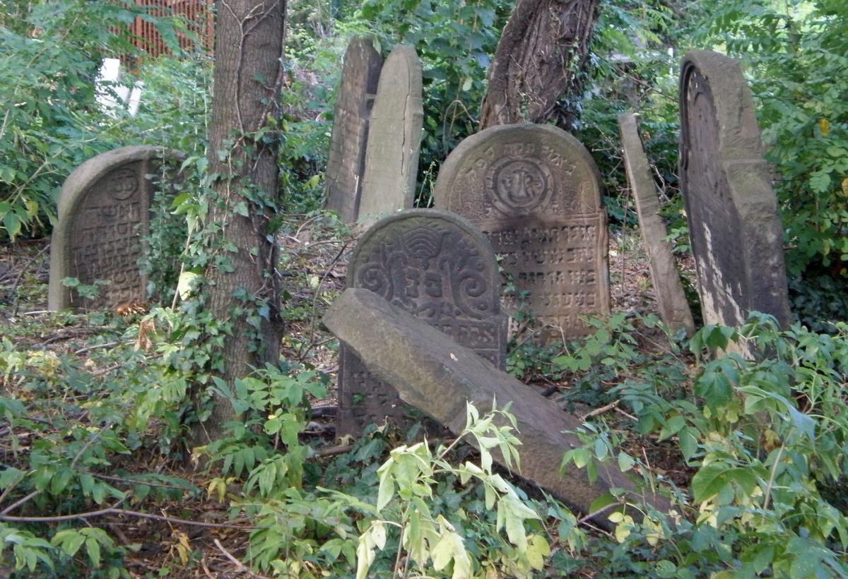 Wikipedia, Gravestones askew, Old Jewish cemetery in Cieszyn, PD-self, Self-published work