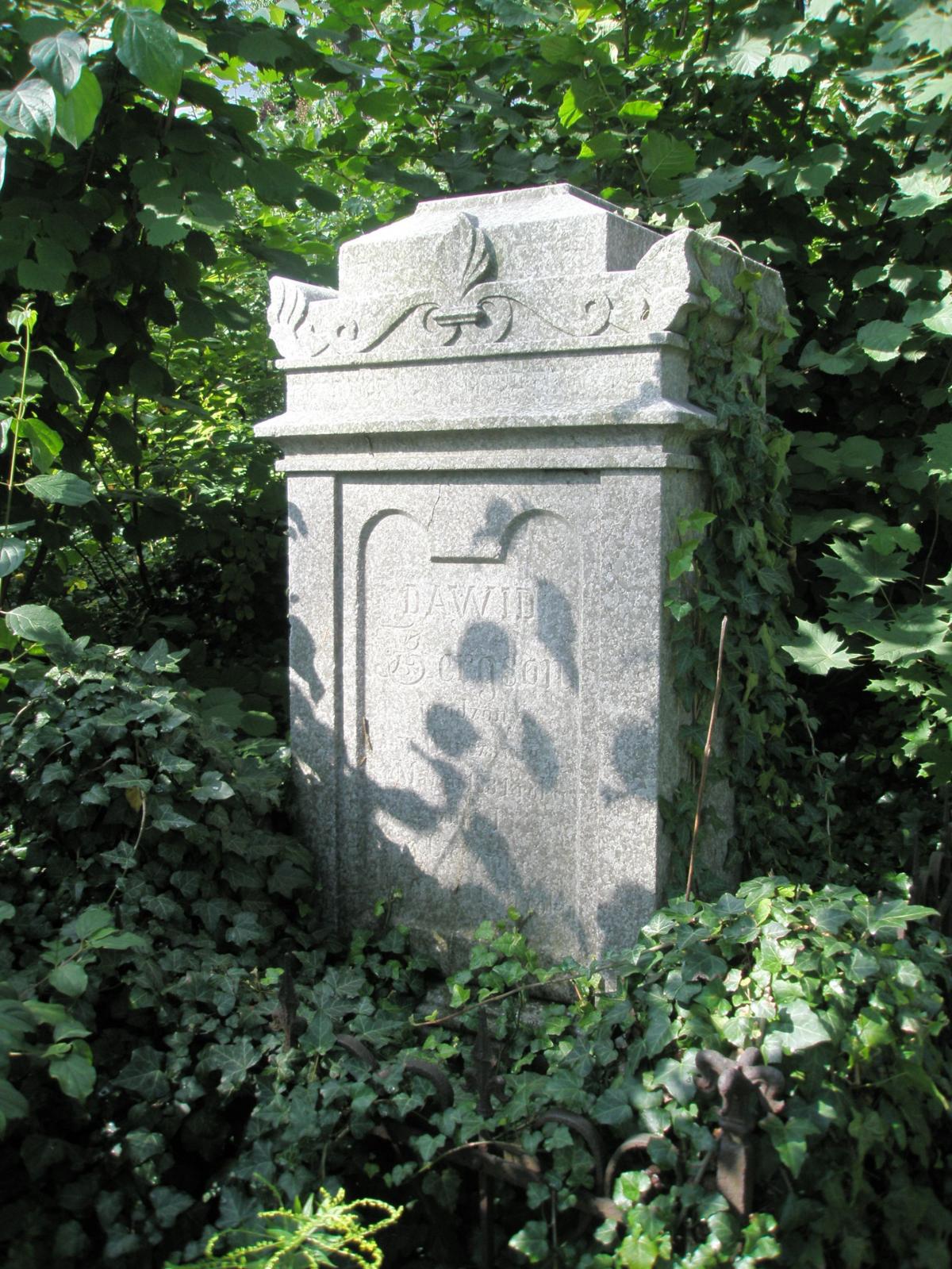 Wikipedia, Old Jewish cemetery in Cieszyn, PD-self, Polish inscriptions, Self-published work