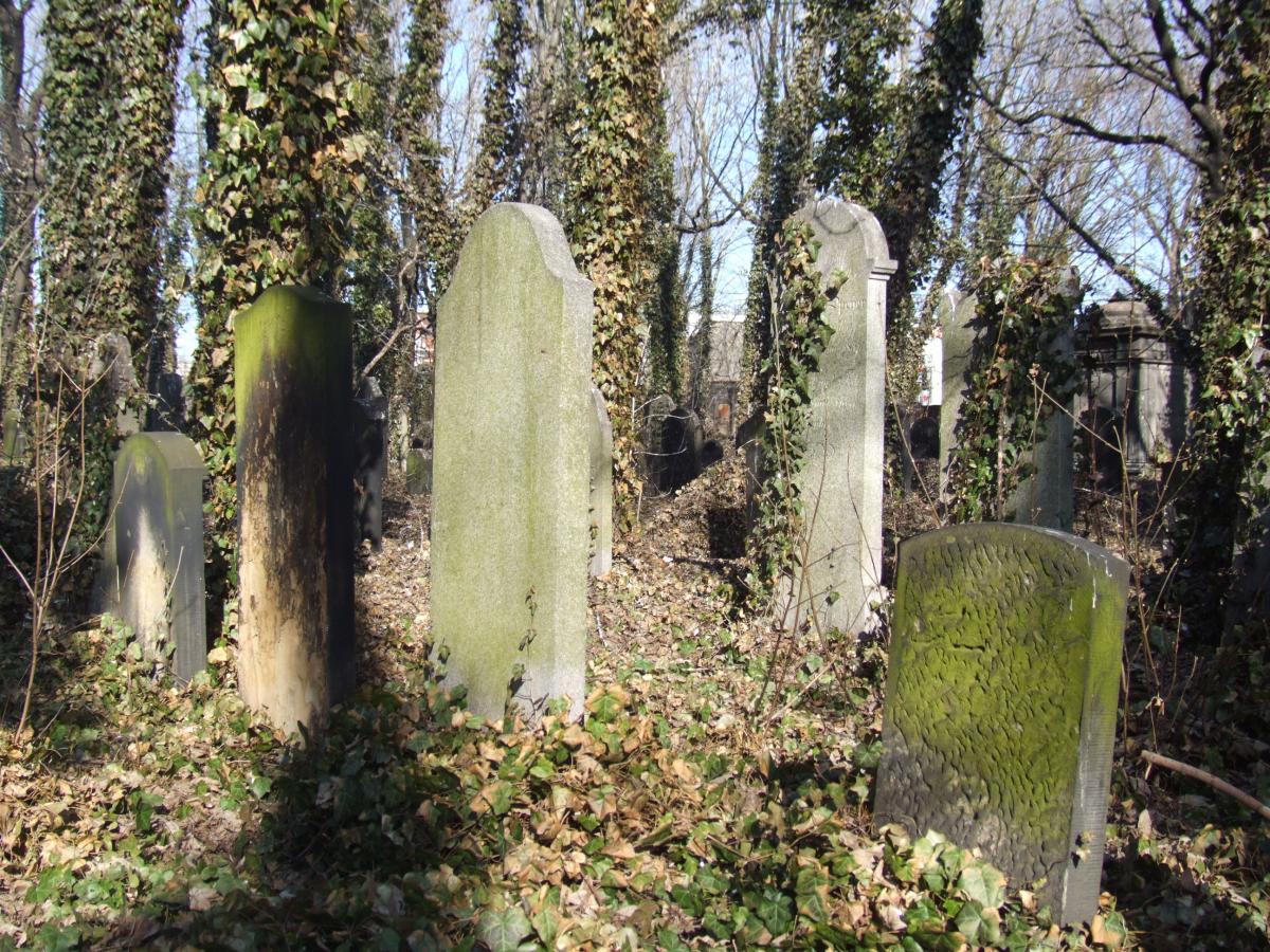 Wikipedia, Images by Marcin Szala, Old Jewish Cemetery in Gliwice, Self-published work, Unassessed Q