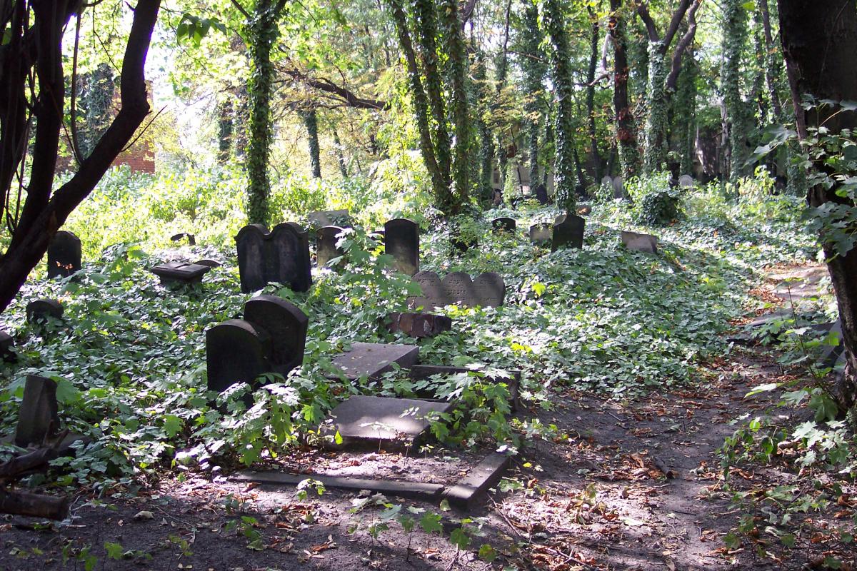 Wikipedia, Old Jewish Cemetery in Gliwice, Photographs taken on 2007-08-05, Self-published work