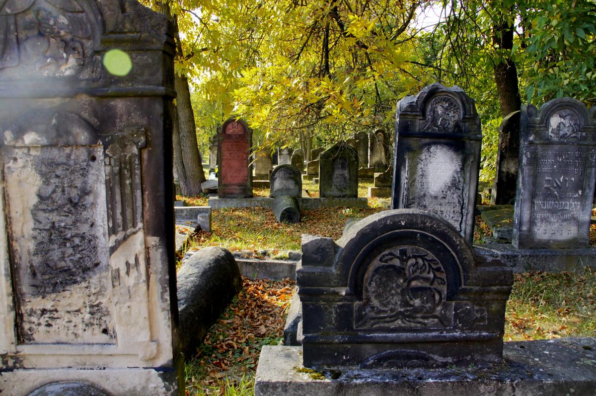 Wikipedia, Old Jewish cemetery in Sosnowiec, Self-published work