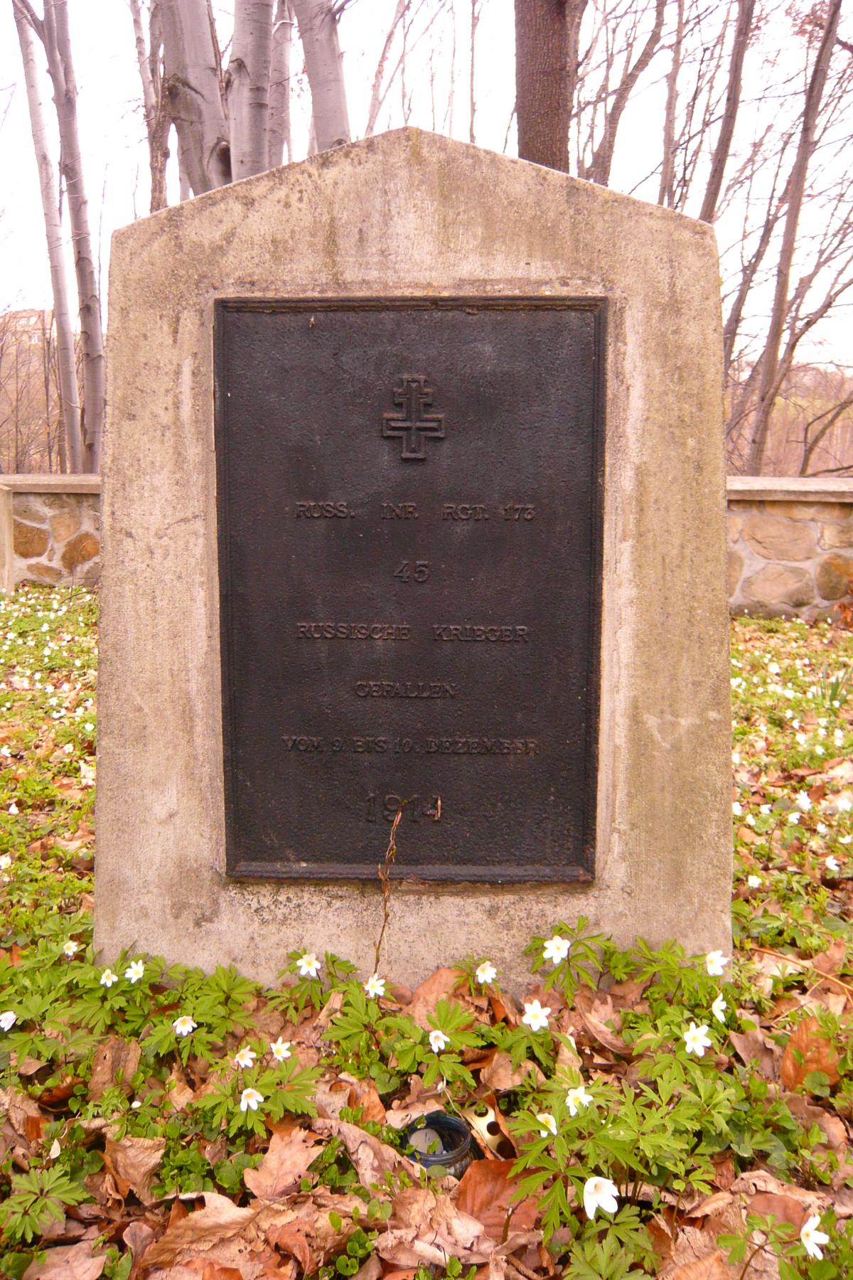 Wikipedia, Self-published work, World War I Cemetery nr 310 in Leszczyna