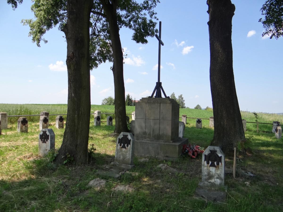 Wikipedia, Self-published work, World War I Cemetery nr 165 in Bistuszowa