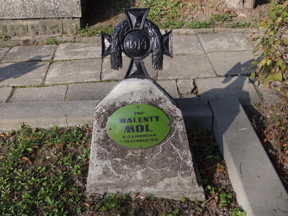 Wikipedia, Self-published work, World War I Cemetery nr 366 in Limanowa