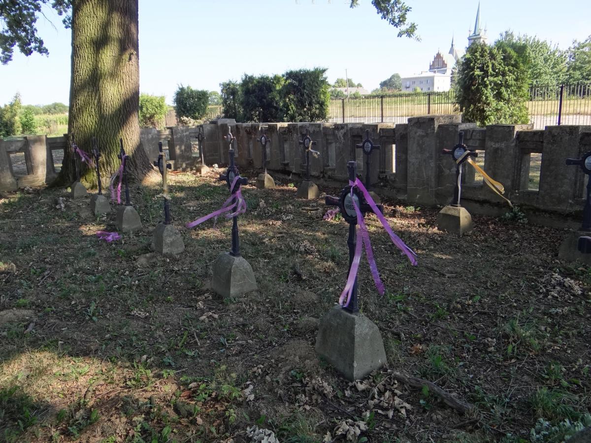 Wikipedia, Self-published work, World War I Cemetery nr 255 in Wietrzychowice