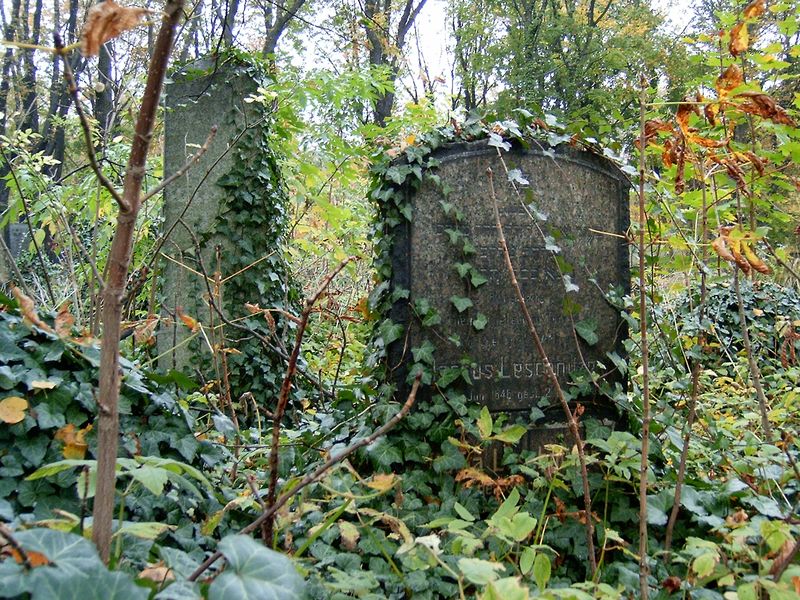 Wikipedia, Jewish cemetery in Bytom