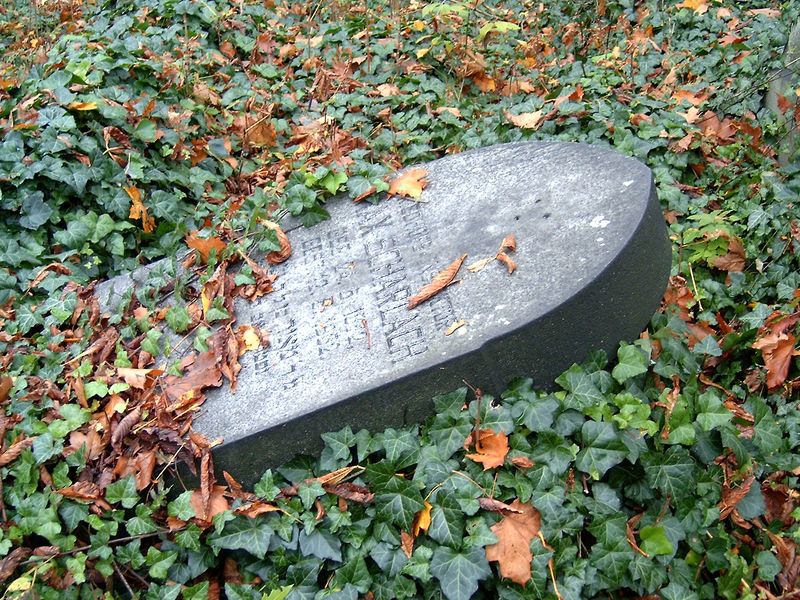 Wikipedia, Gravestones askew, Jewish cemetery in Bytom