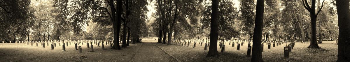 Wikipedia, Self-published work, World War I Cemetery nr 200 in Tarnów