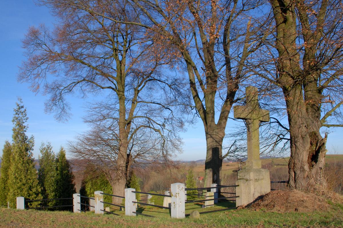Wikipedia, Self-published work, World War I Cemetery nr 229 in Skurowa