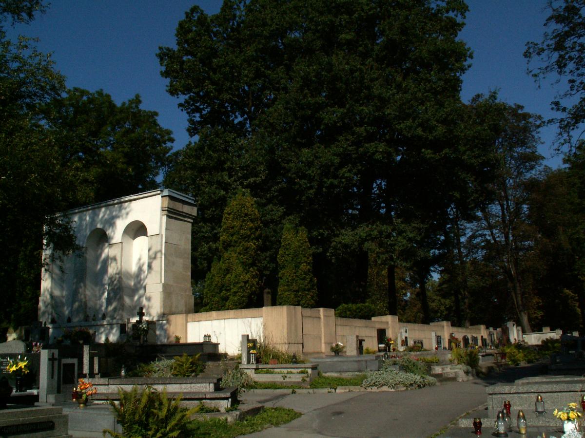 Wikipedia, Self-published work, User:Zetpe0202, World War I Cemetery nr 381 in Wieliczka