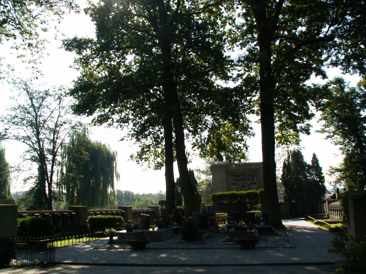 Wikipedia, Self-published work, User:Zetpe0202, World War I Cemetery nr 381 in Wieliczka
