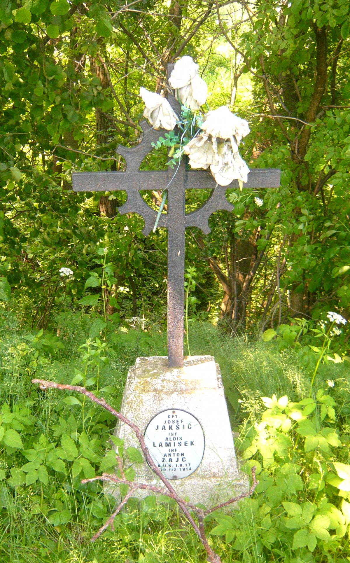 Wikipedia, Self-published work, World War I Cemetery nr 168 in Kowalowa