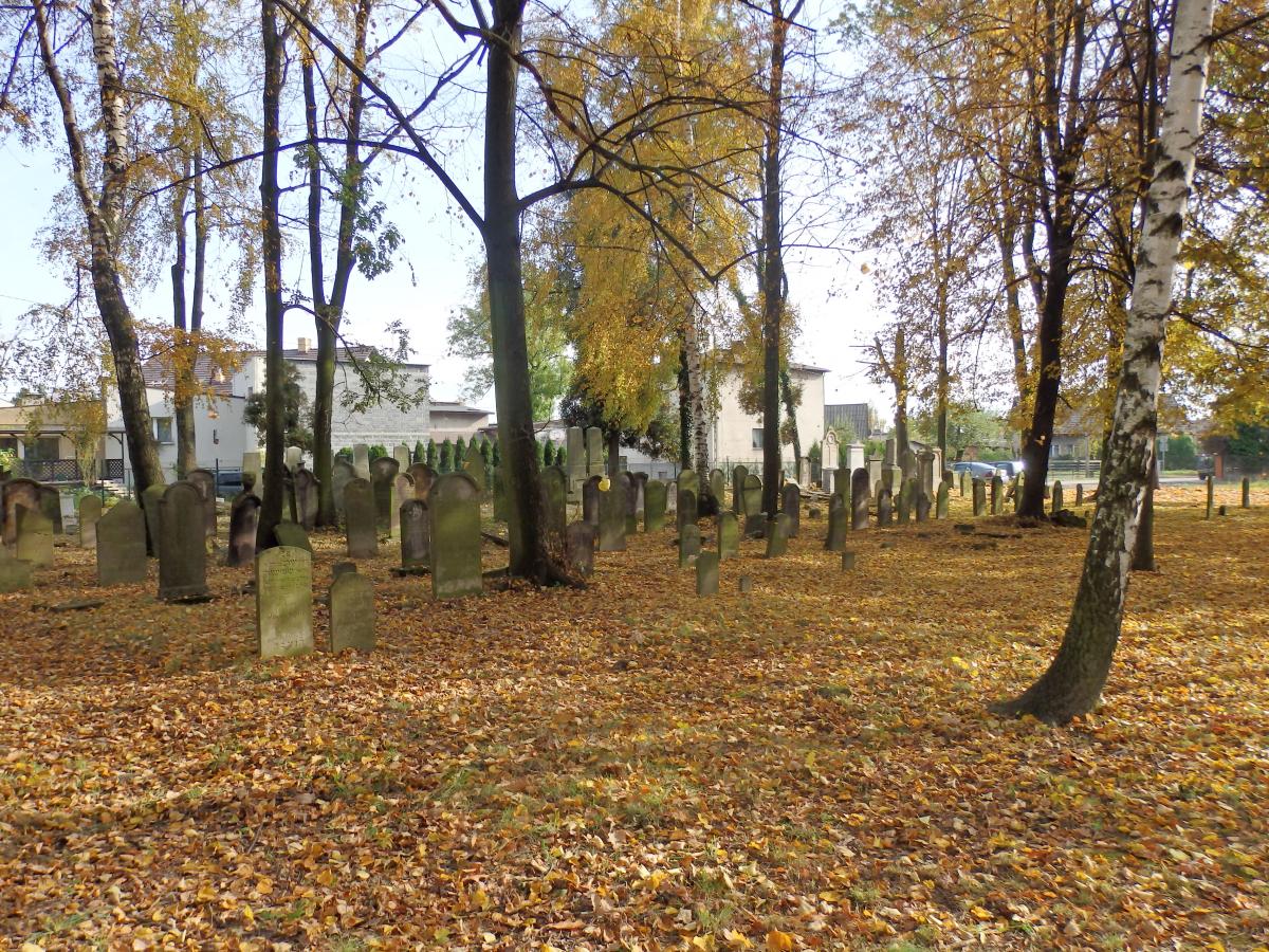 Wikipedia, Jewish cemetery in Pszczyna, Self-published work