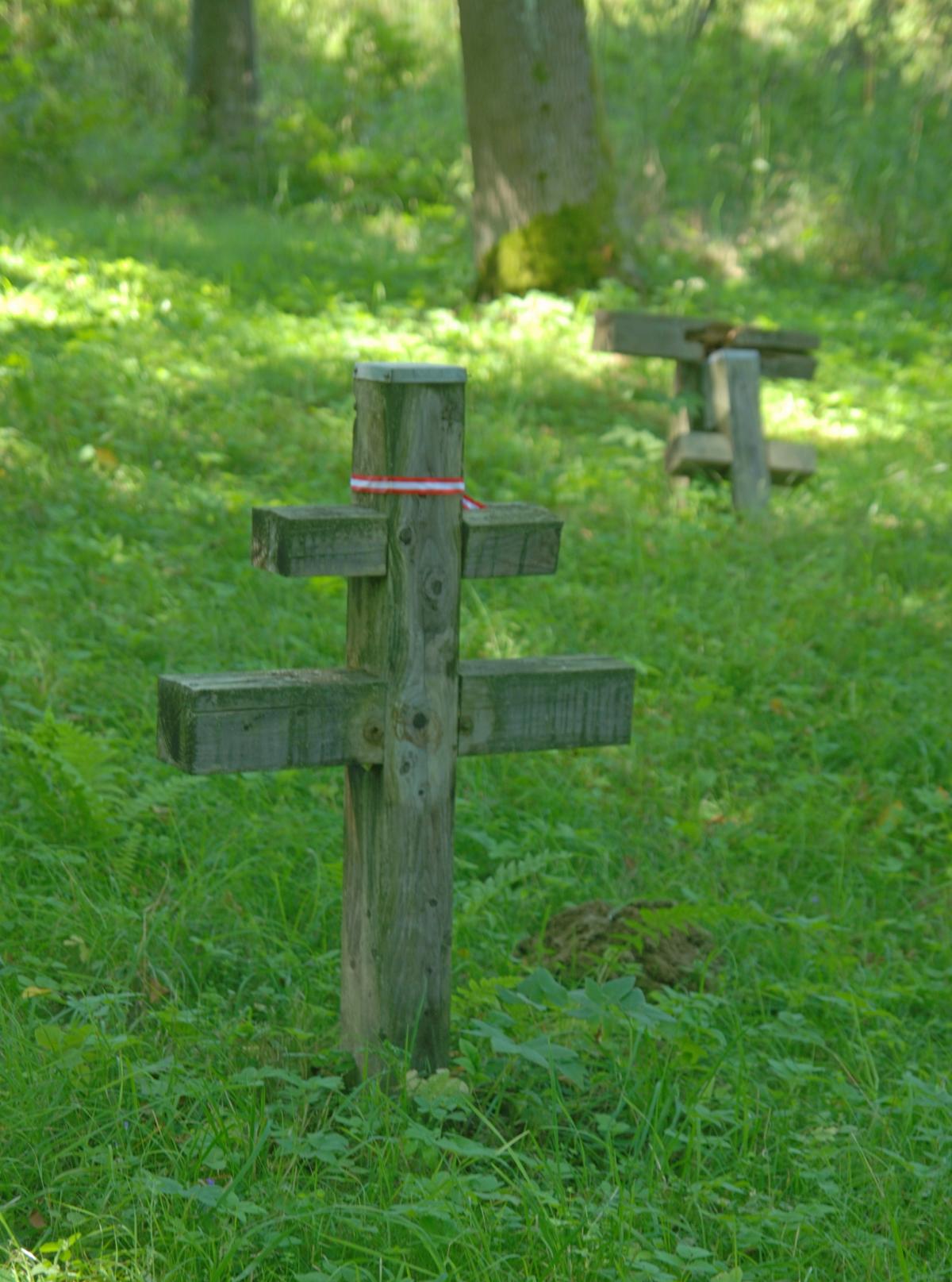 Wikipedia, Self-published work, World War I Cemetery nr 43 in Radocyna