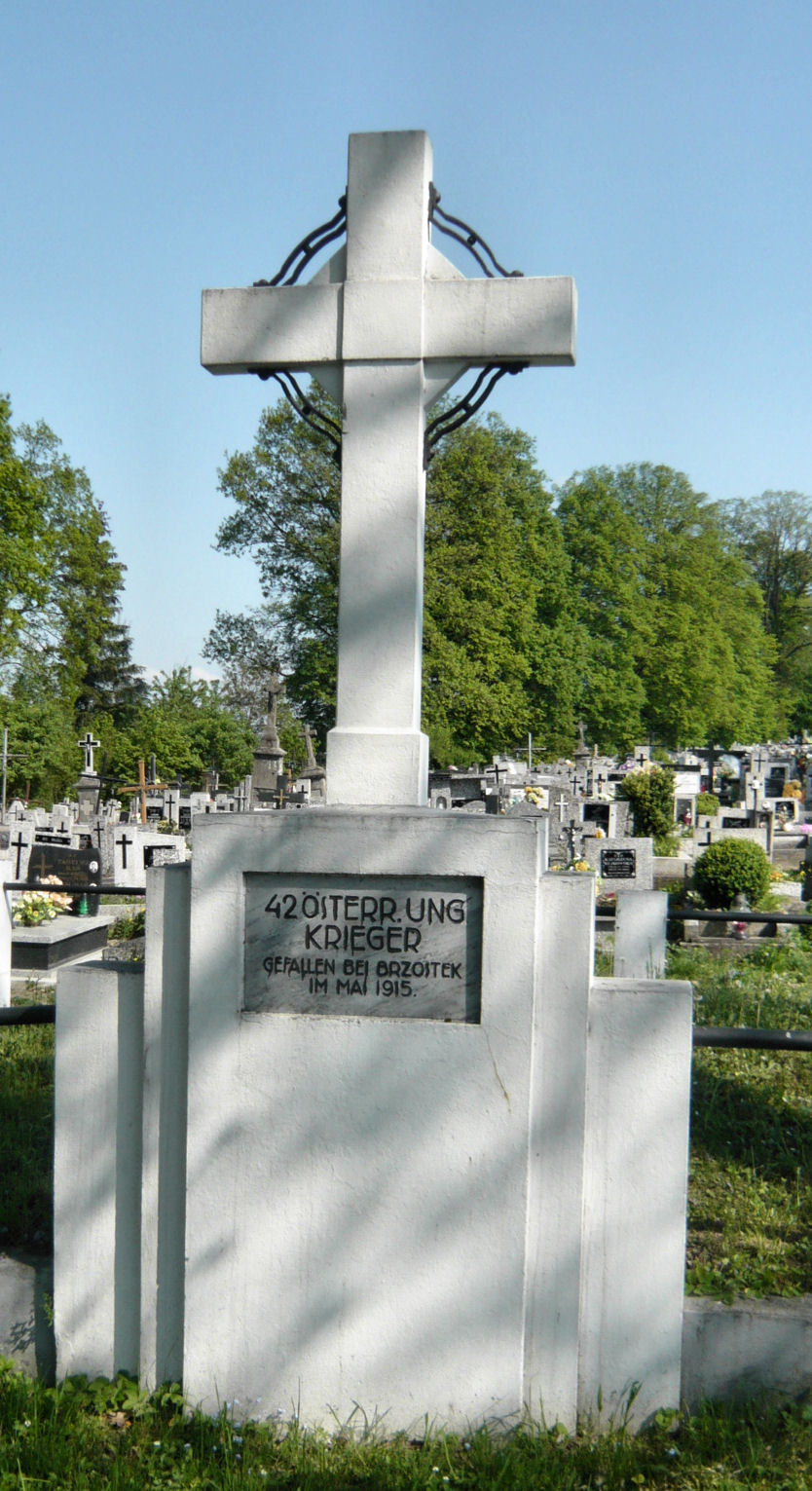 Wikipedia, PD-self, Self-published work, World War I Cemetery nr 223 in Brzostek