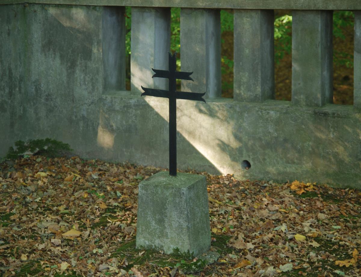 Wikipedia, Self-published work, World War I Cemetery nr 100 in Kobylanka