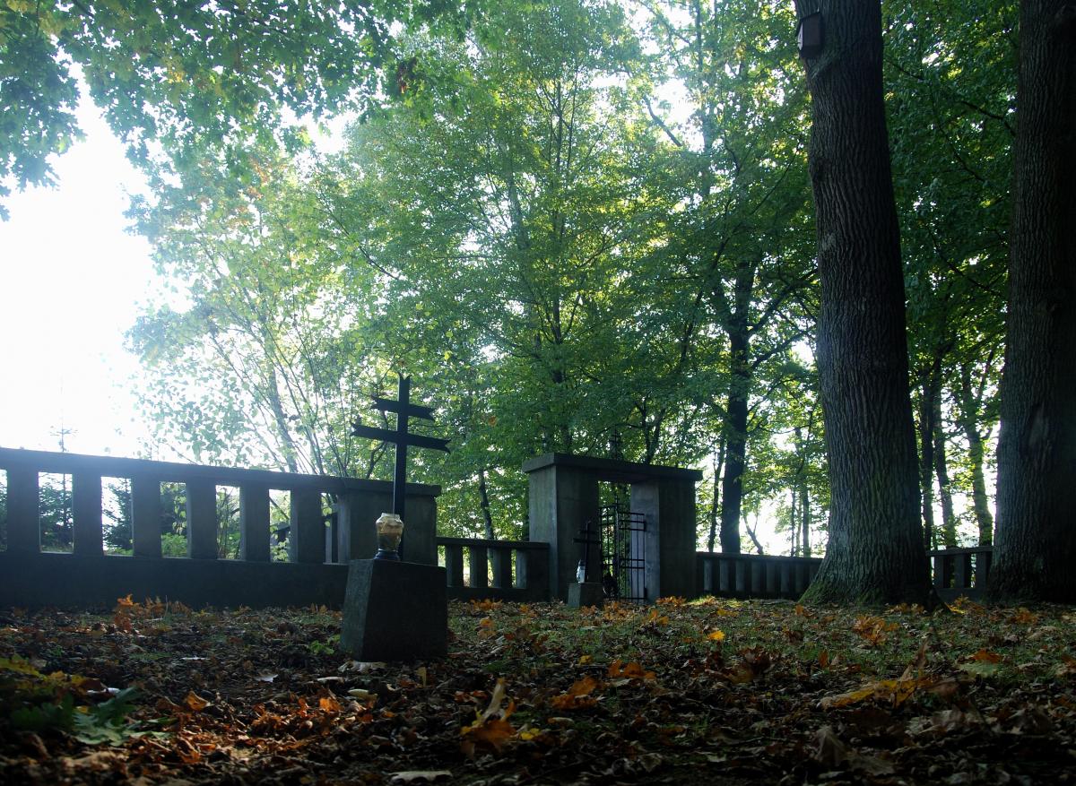 Wikipedia, Self-published work, World War I Cemetery nr 100 in Kobylanka