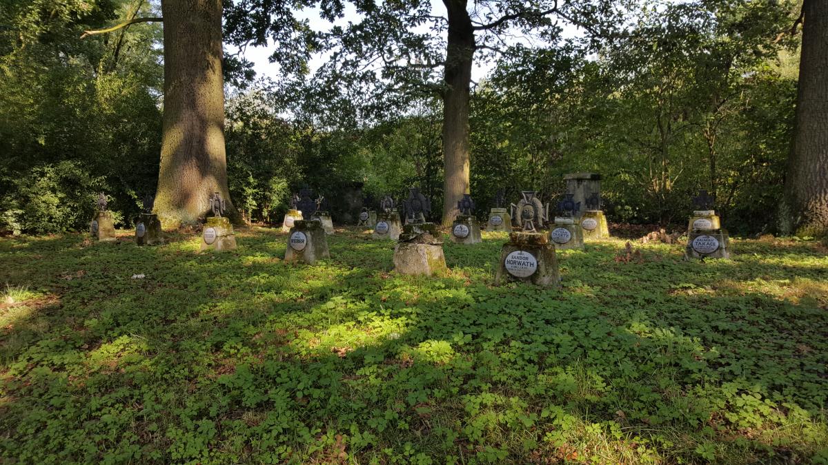 Wikipedia, Self-published work, World War I Cemetery nr 209 in Glów