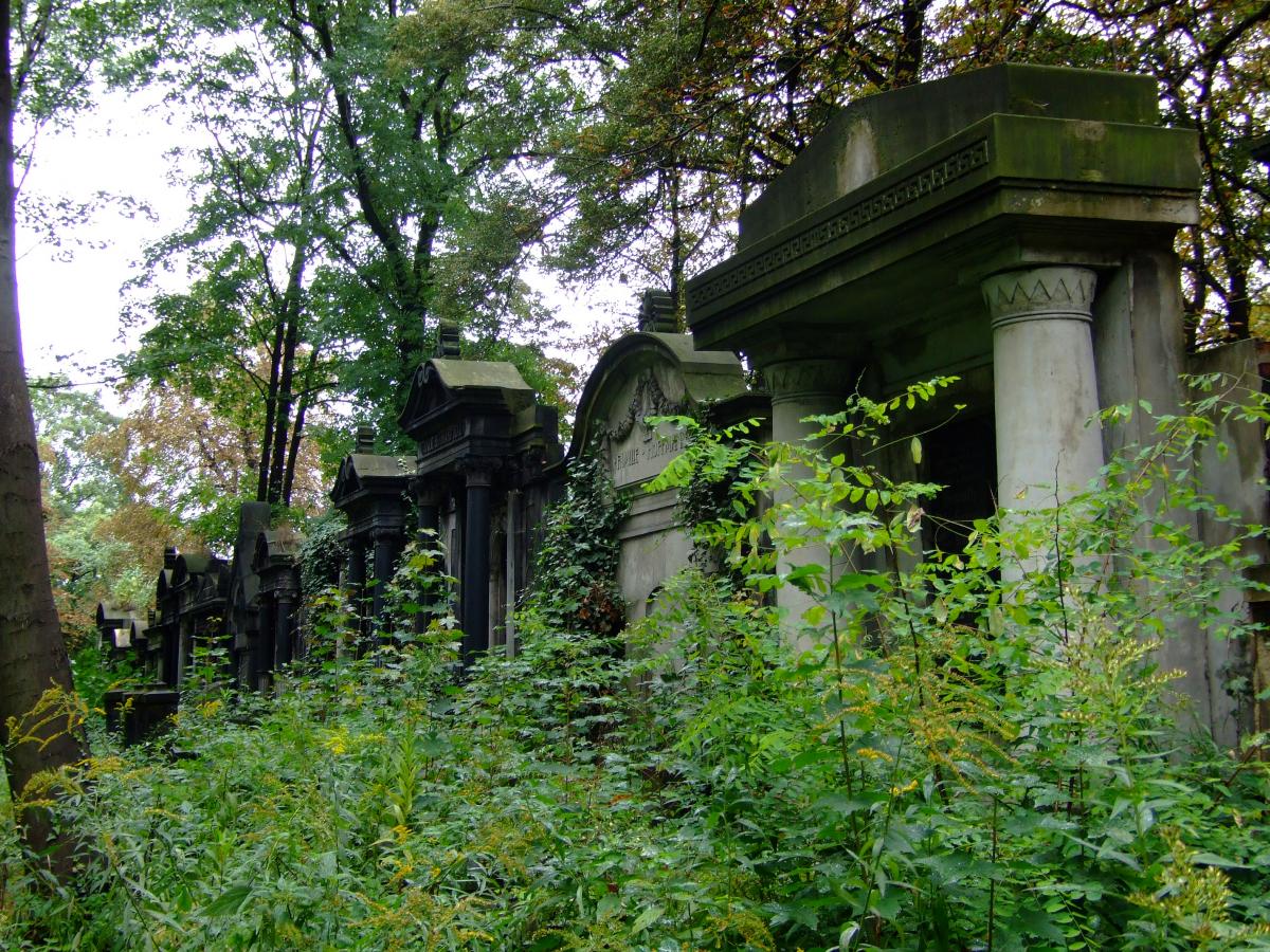 Wikipedia, Jewish cemetery in Zabrze, Self-published work