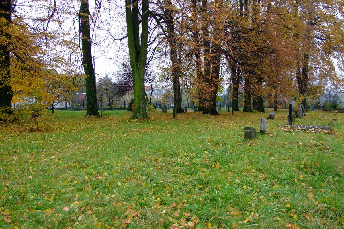 Wikipedia, Jewish cemetery in Wilamowice, Media with locations, Natural monuments in Wilamowice (pow