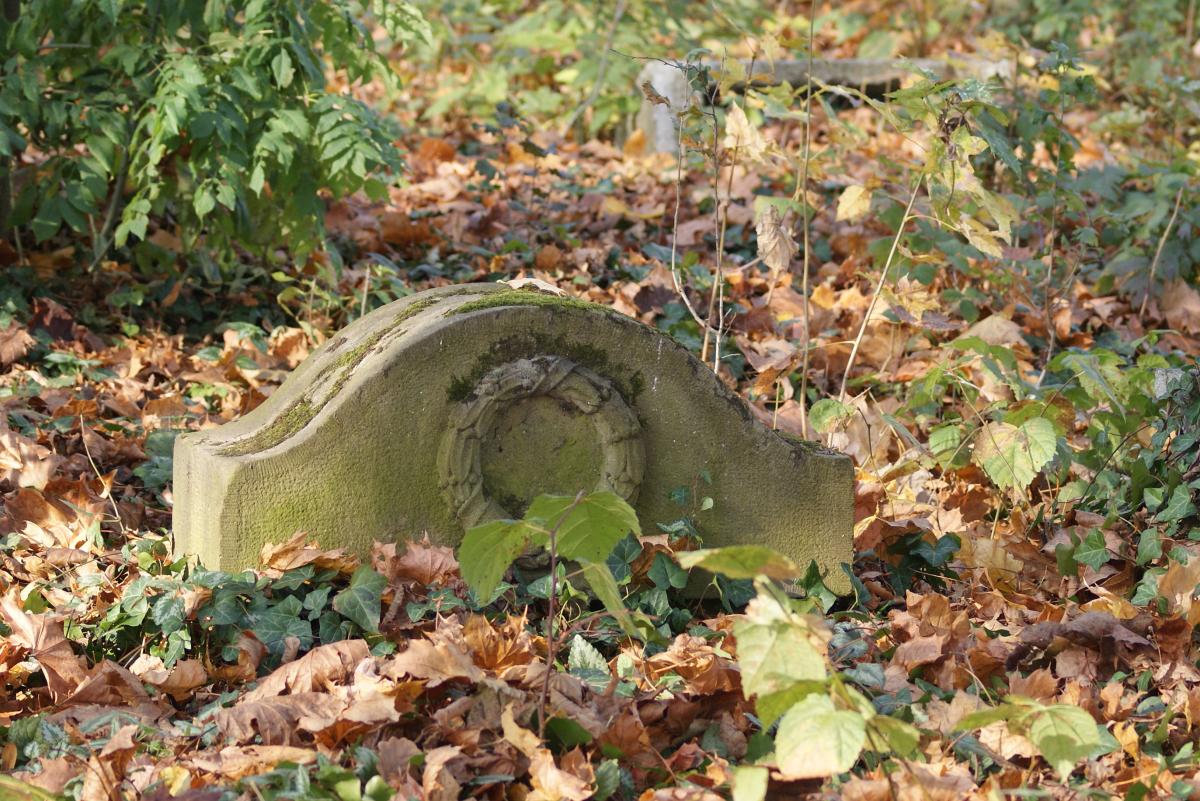Wikipedia, Jewish cemetery in Czechowice-Dziedzice, Self-published work