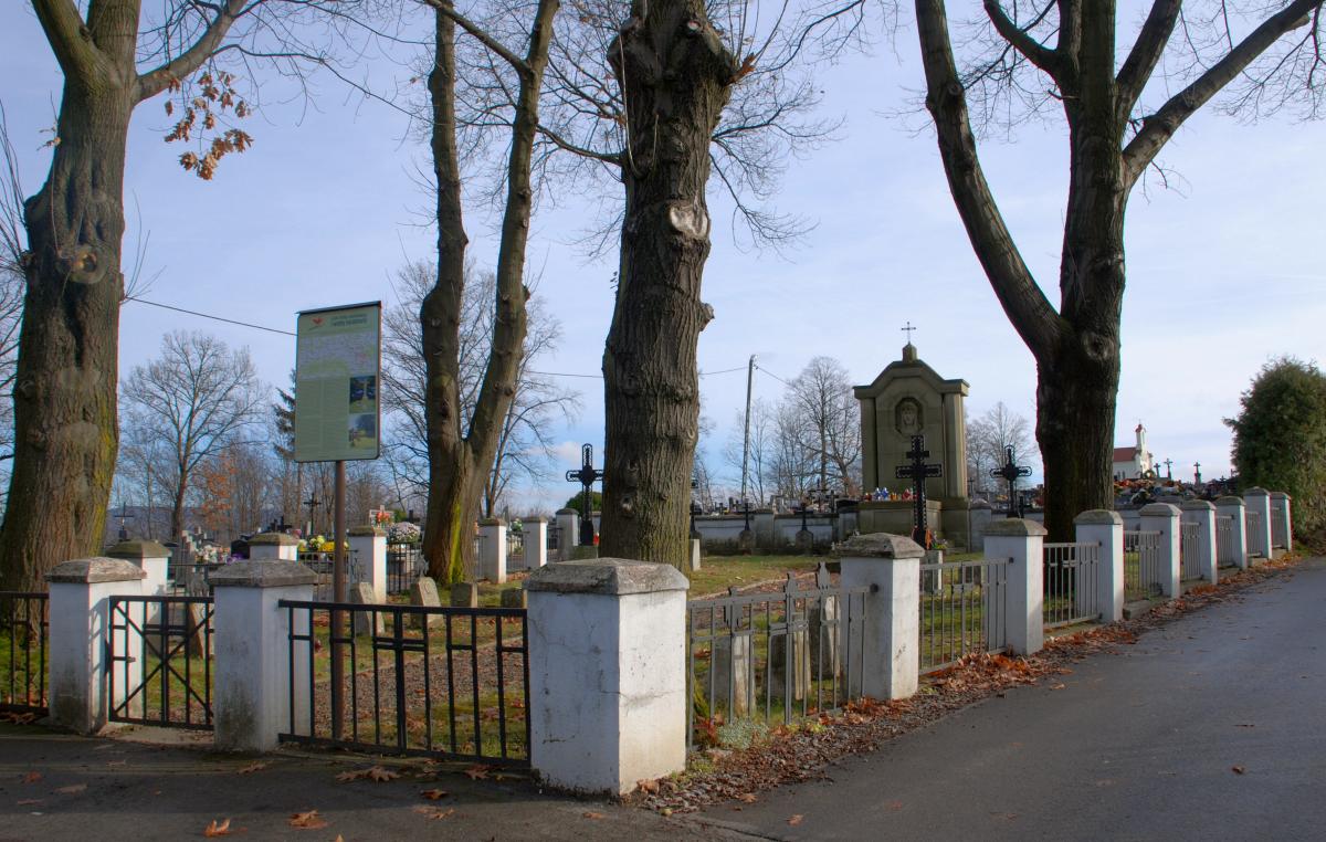 Wikipedia, Self-published work, World War I Cemetery nr 225 in Brzostek