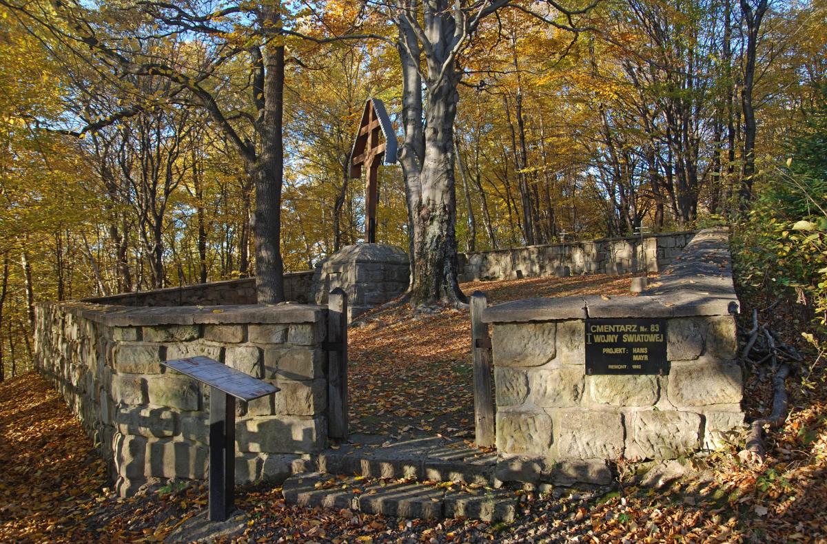 Wikipedia, Self-published work, World War I Cemetery nr 83 in Wapienne