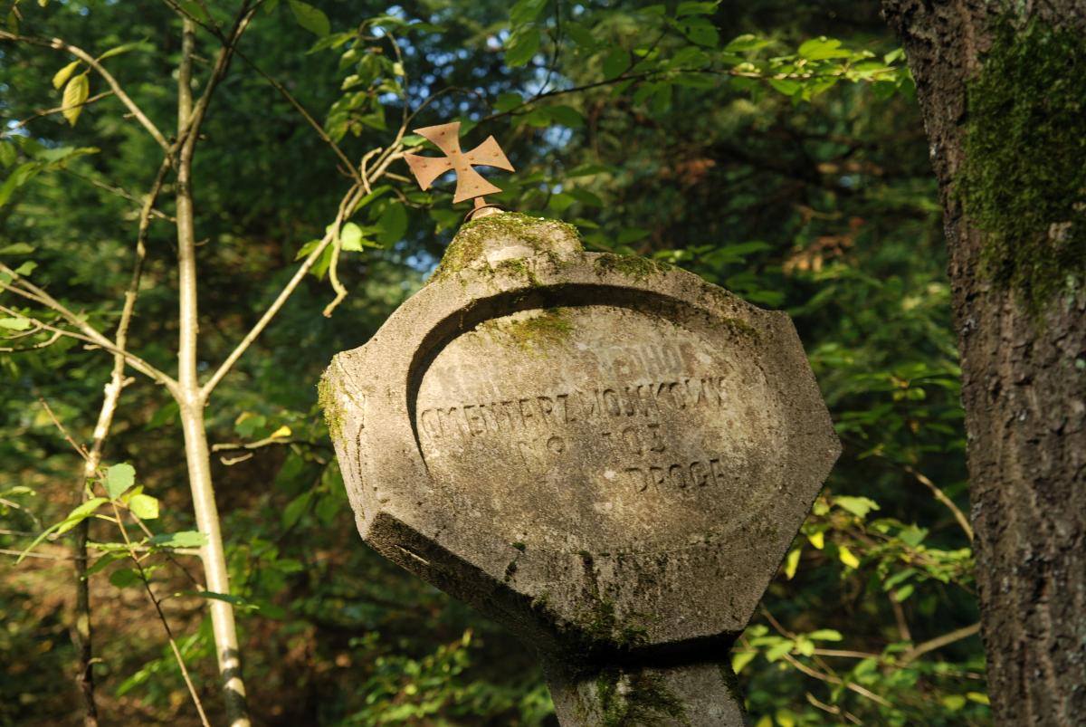 Wikipedia, Self-published work, World War I Cemetery nr 103 in Pagorzyna