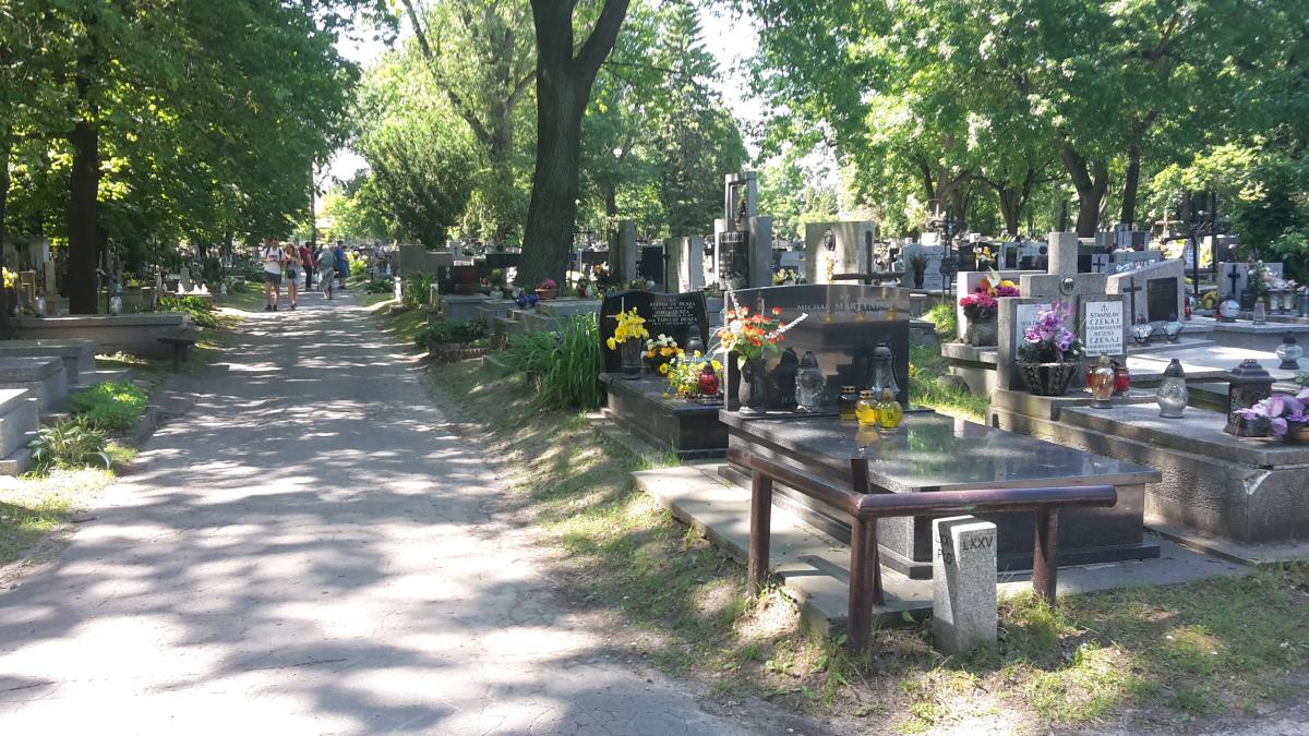 Wikipedia, Rakowicki Cemetery, Self-published work