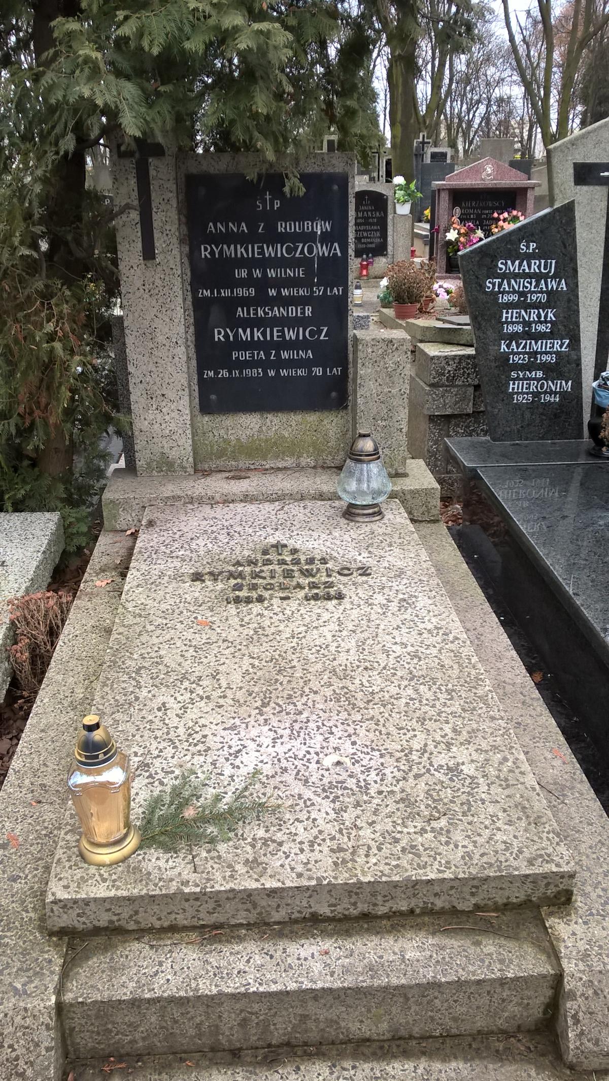 Wikipedia, Bródno Cemetery, Self-published work