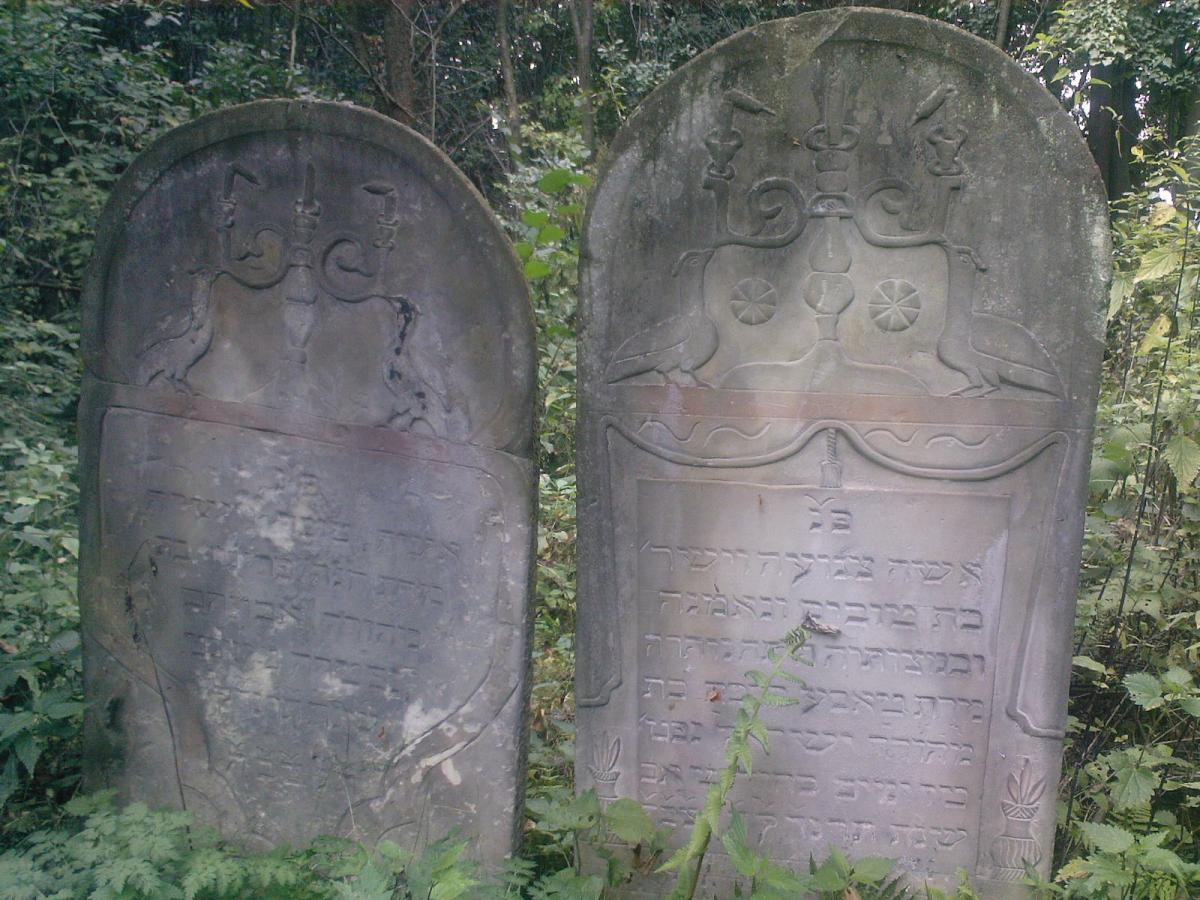 Wikipedia, Bird on Jewish gravestones in Poland, Jewish Cemetery in Bodzentyn, Self-published work, 