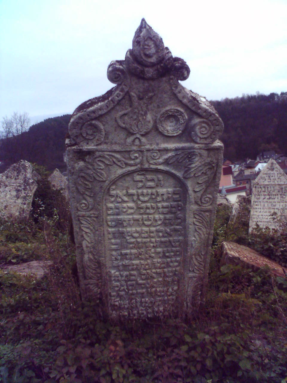 Wikipedia, Jewish cemetery in Buchach, Self-published work