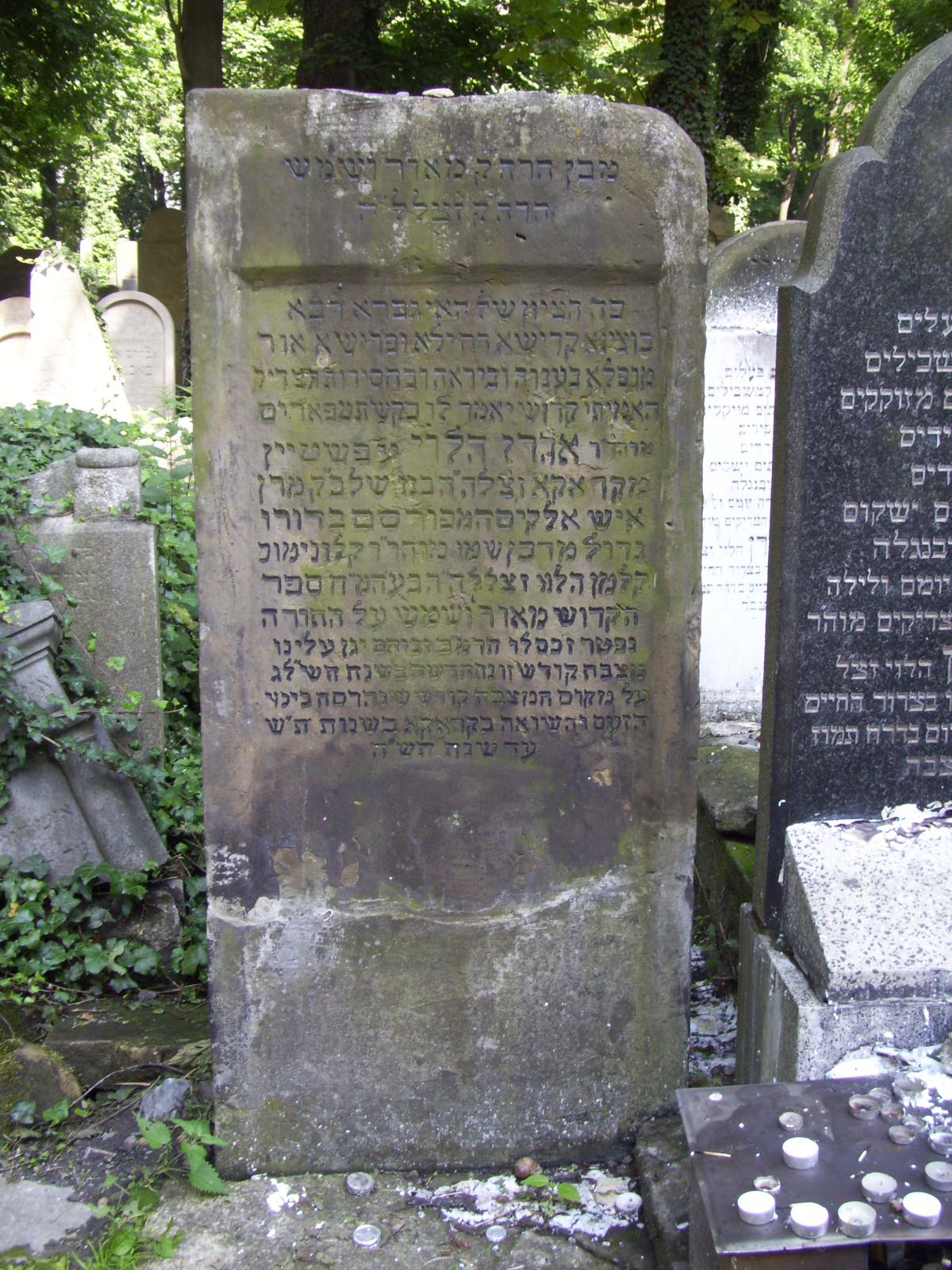 Wikipedia, New Jewish Cemetery in Kraków, Self-published work