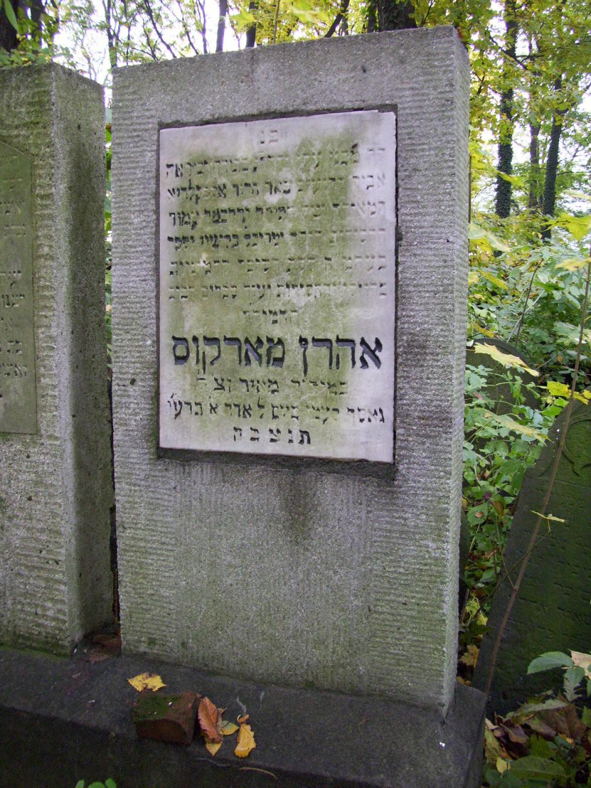 Wikipedia, New Jewish Cemetery in Kraków, Self-published work