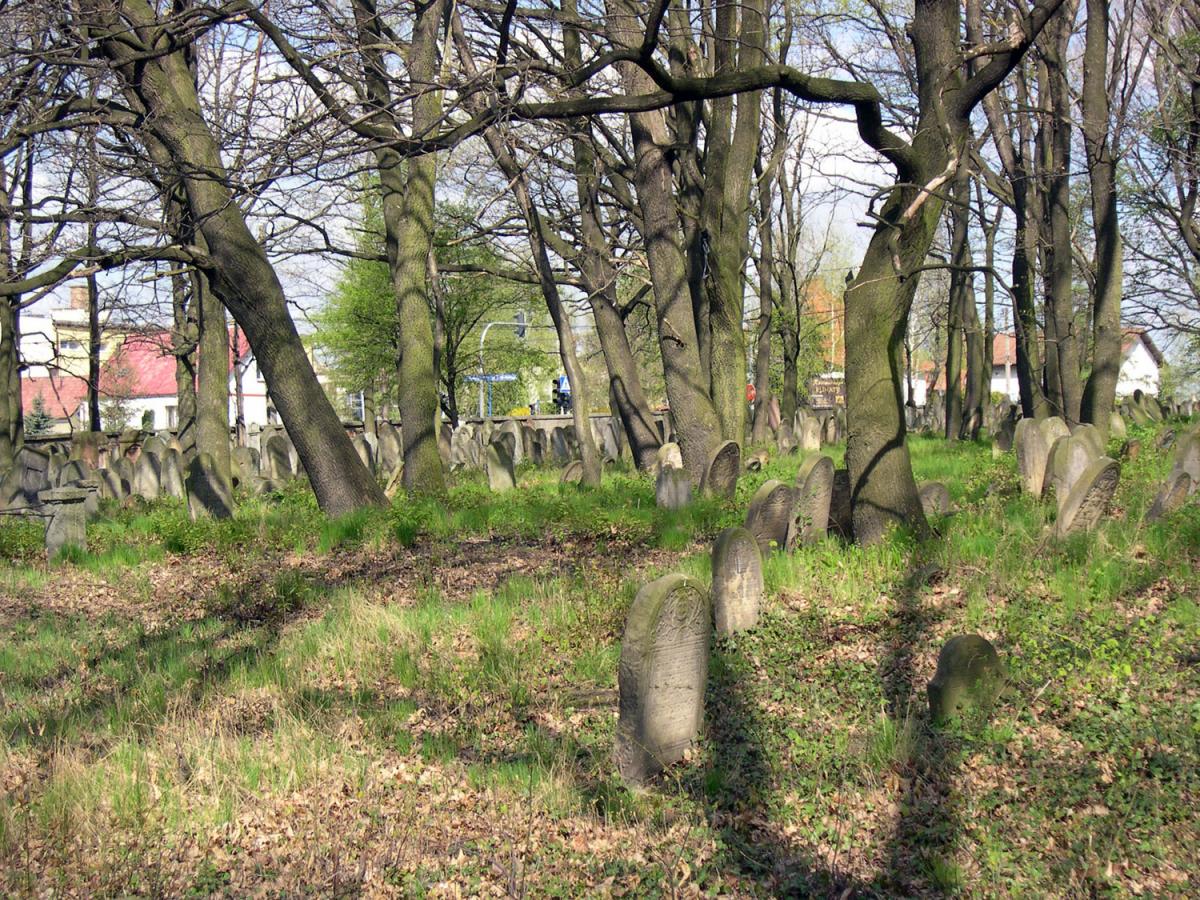Wikipedia, Jewish cemetery in Brzesko