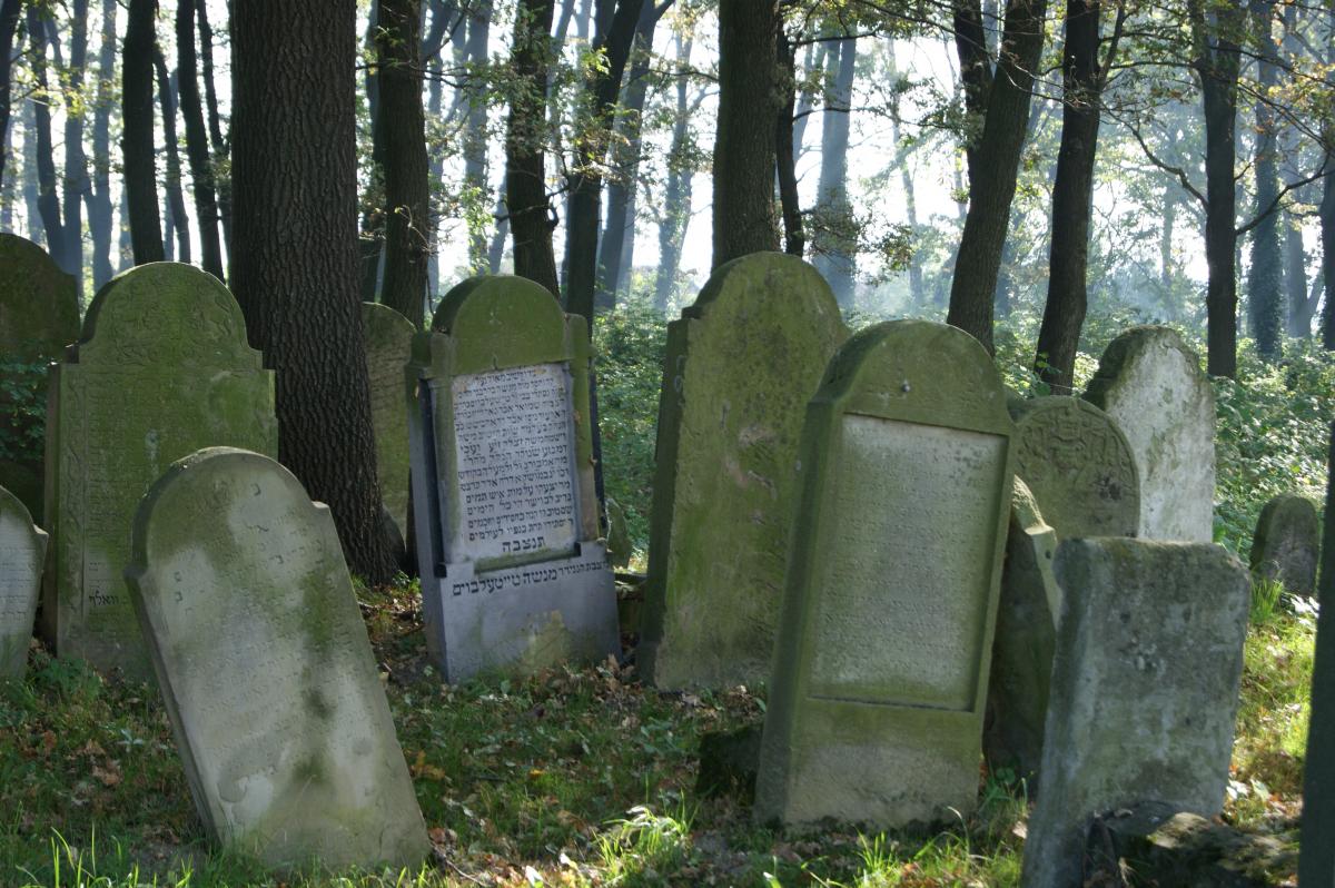 Wikipedia, Cultural heritage monuments in Poland with old known IDs, Jewish cemetery in Brzesko, Med
