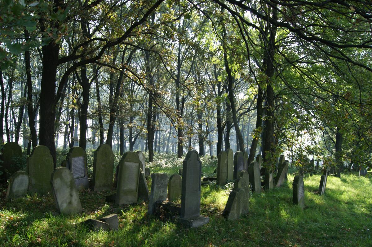 Wikipedia, Jewish cemetery in Brzesko, Self-published work, Taken with Sony DSLR-A290