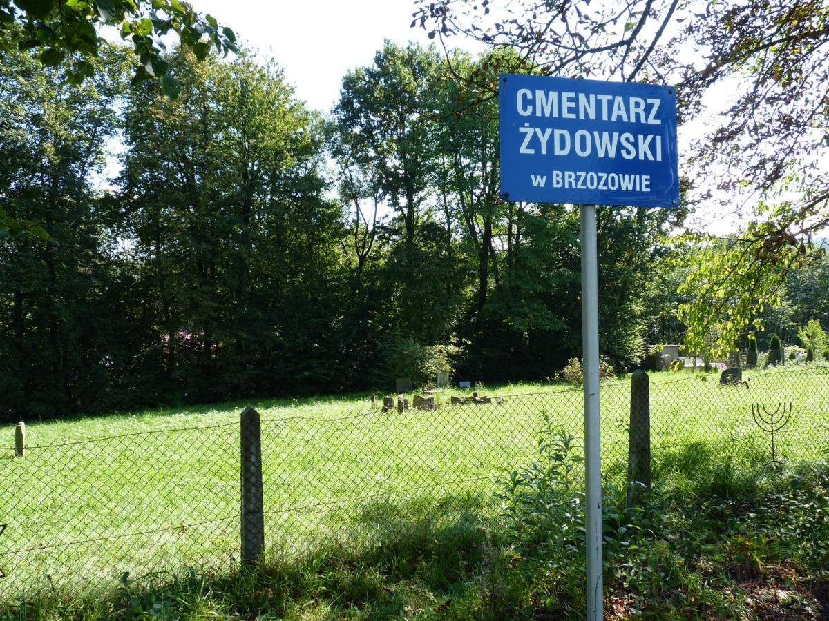 Wikipedia, Jewish cemetery in Brzozów, Self-published work