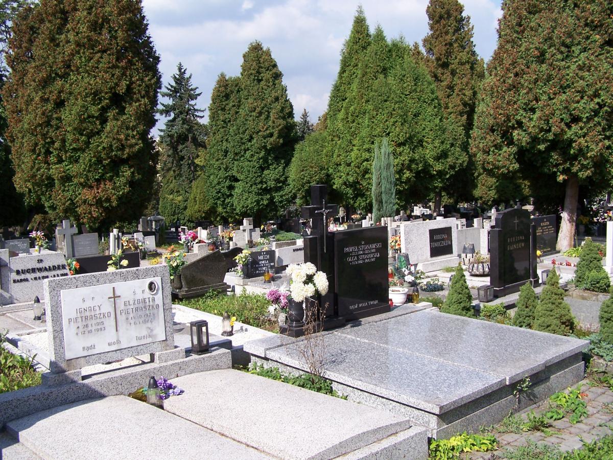 Wikipedia, Lutheran Cemetery in Cieszyn, Self-published work