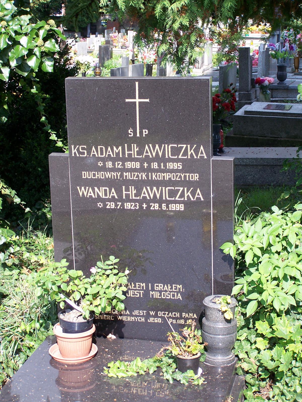 Wikipedia, 2009 in Cieszyn, Graves in Cieszyn, Lutheran Cemetery in Cieszyn, Self-published work
