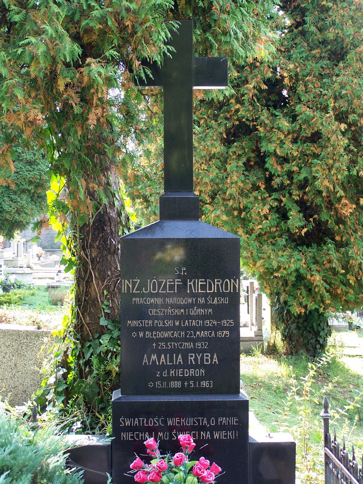 Wikipedia, 2009 in Cieszyn, Graves in Cieszyn, Józef Kiedroń, Lutheran Cemetery in Cieszyn, Self-pub