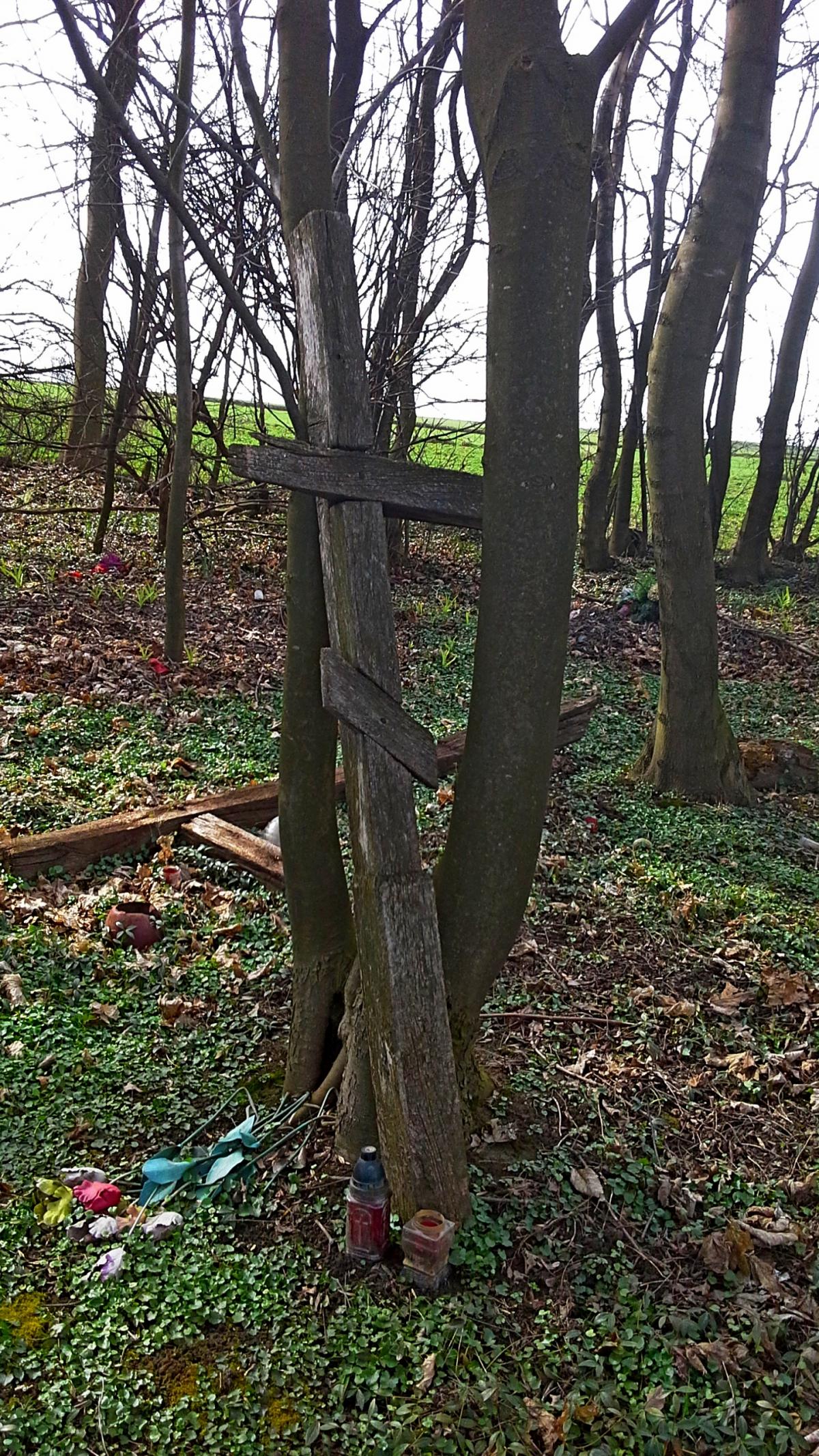 Wikipedia, Orthodox cemetery in Horoszczyce, Self-published work