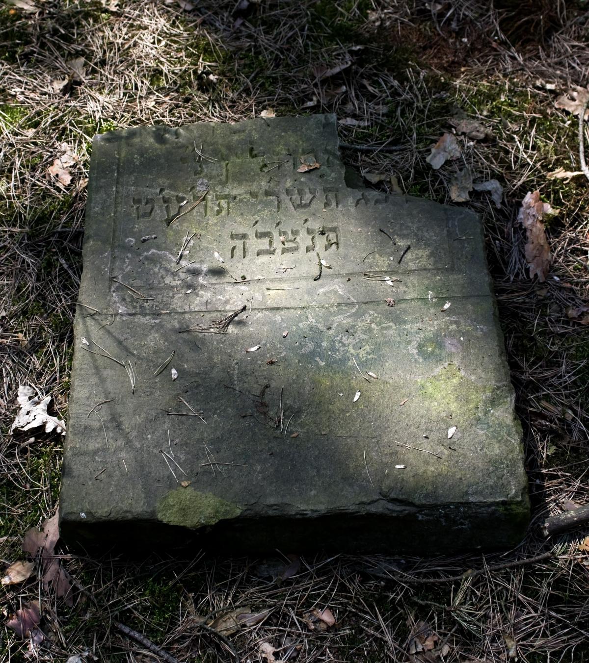 Wikipedia, Jewish cemetery in Garwolin, Media with locations, Pages with maps, Self-published work
