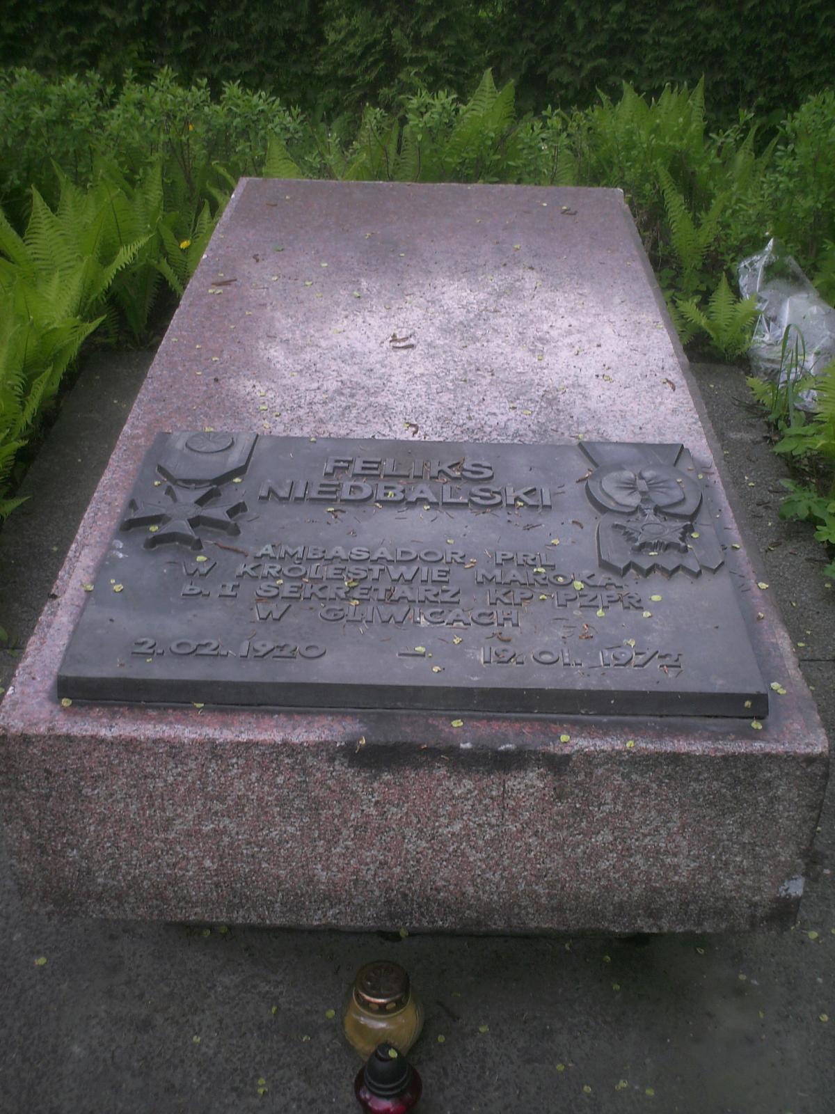 Wikipedia, Central Cemetery (Gliwice), Polscy ambasadorzy, Self-published work, Taken with BenQ DC C