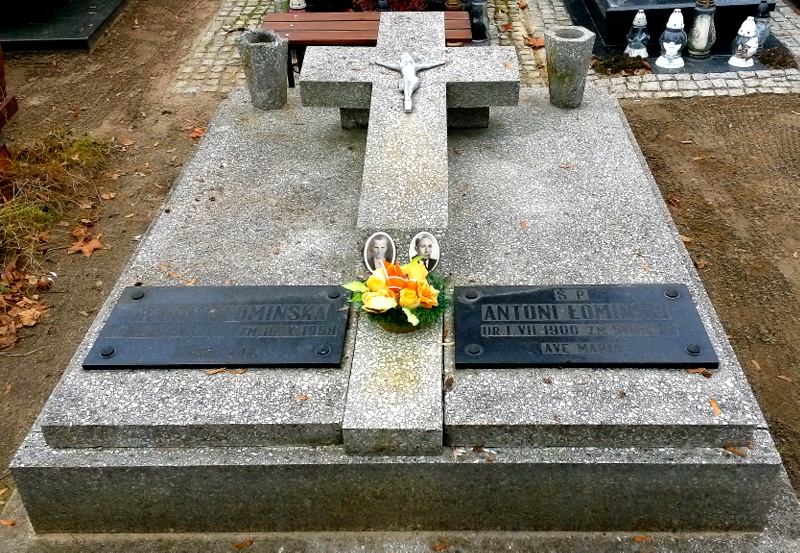 Wikipedia, Brochowski Cemetery, Self-published work