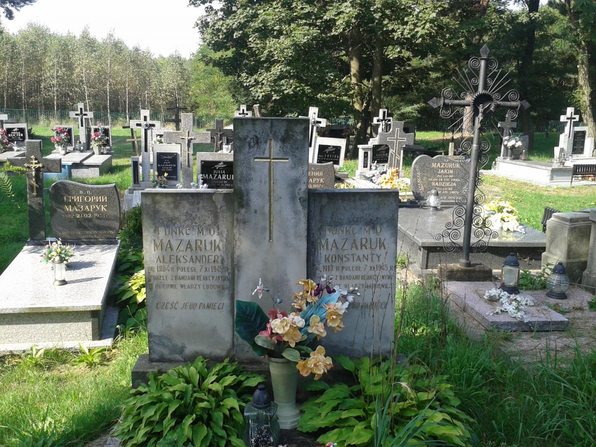 Wikipedia, Orthodox cemetery in Kobylany, Self-published work, Wikigrant WG 2014-53