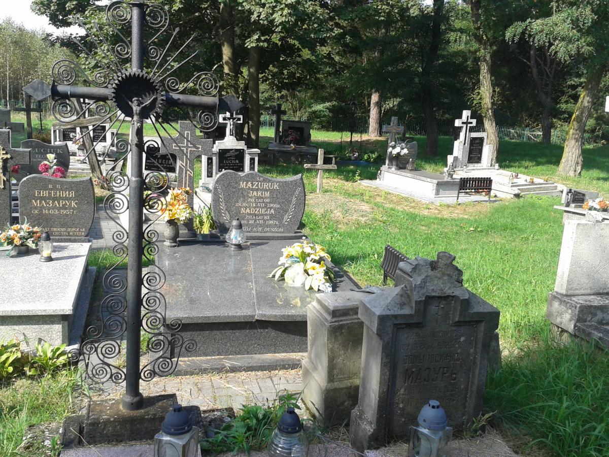 Wikipedia, Orthodox cemetery in Kobylany, Self-published work, Wikigrant WG 2014-53