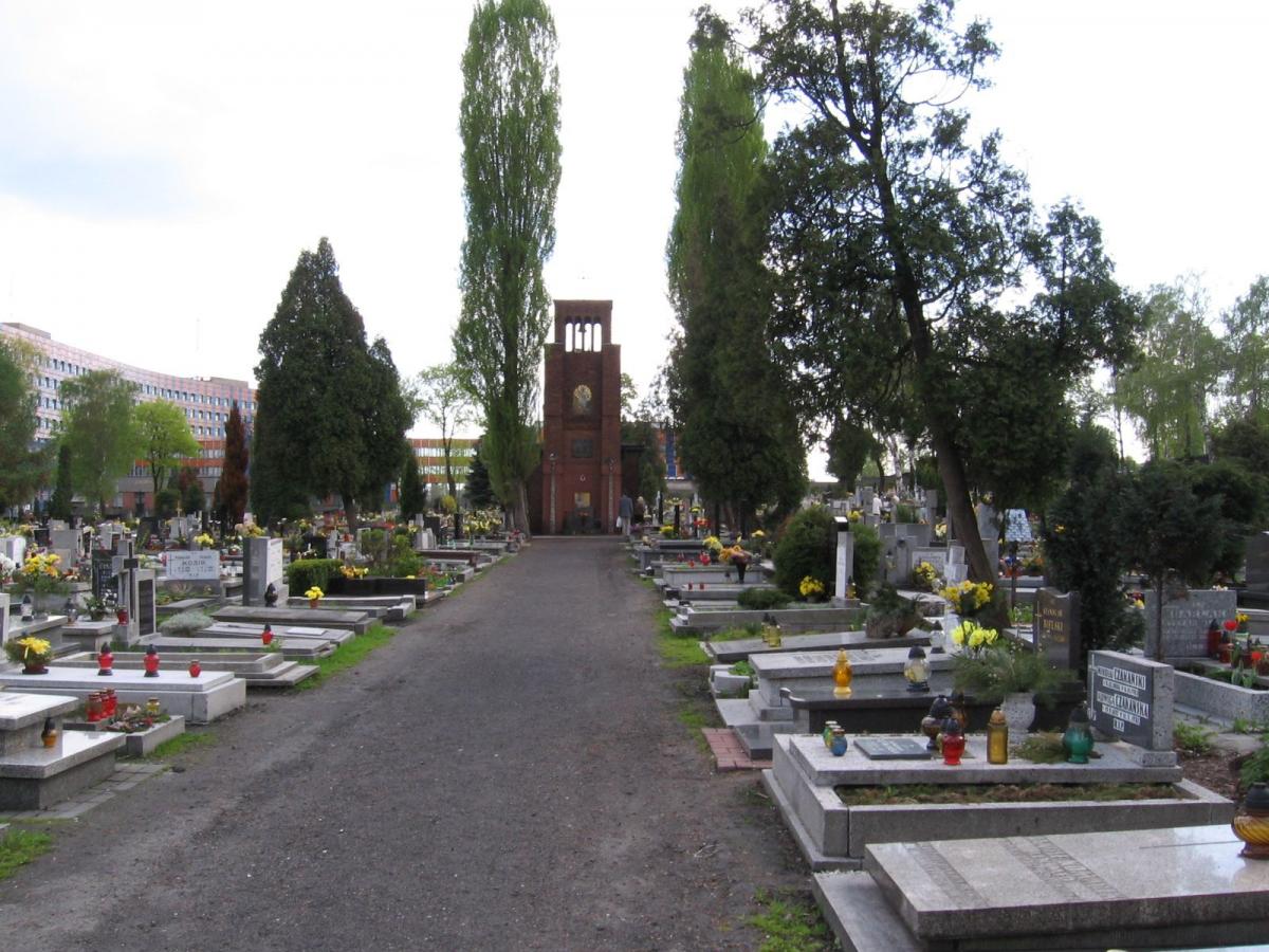 Wikipedia, Cemetery on Sienkiewicza Street in Katowice, PD-user