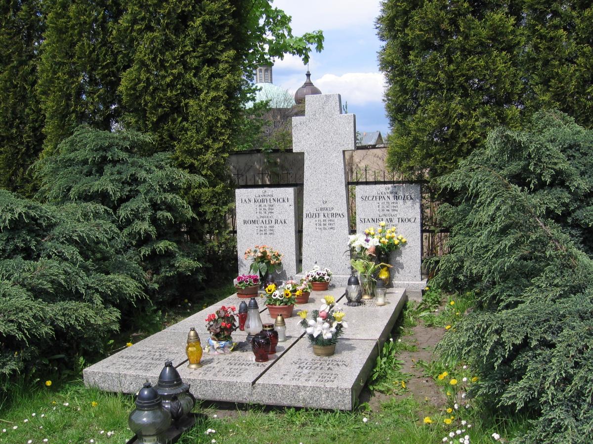 Wikipedia, Cemetery on Sienkiewicza Street in Katowice, PD-self, Self-published work